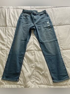 NWTs American Eagle CURVY MOM JEAN Size 6